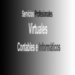 Servicios profesionales virtuales de integración digital para inmobiliarios Servicios profesionales virtuales de integración digital para inmobiliarios